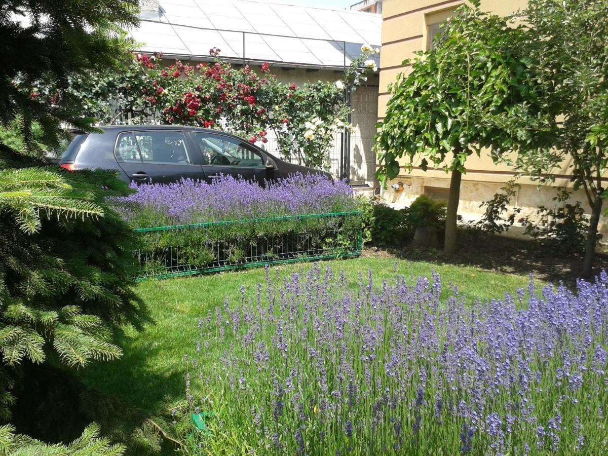 Casa Edwin Bed and Breakfast Constanţa Buitenkant foto
